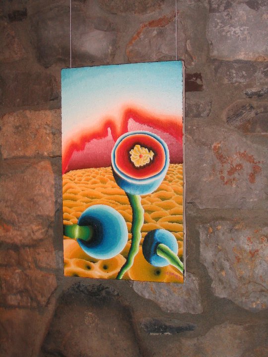 Razstava Trije svetovi v Galeriji pri Valetovih v Štanjelu, fotografija 12